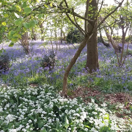 La Parenthese Bois De Cise