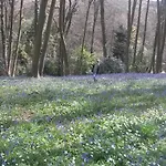 La Parenthese Bois De Cise