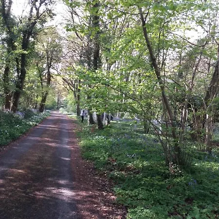 La Parenthese Bois De Cise * Ault