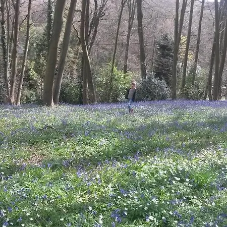 La Parenthese Bois De Cise