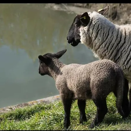 Διαμέρισμα La Parenthese Bois De Cise
