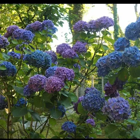 La Parenthese Bois De Cise