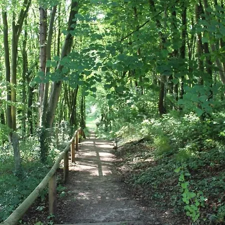Apartament La Parenthese Bois De Cise Ault