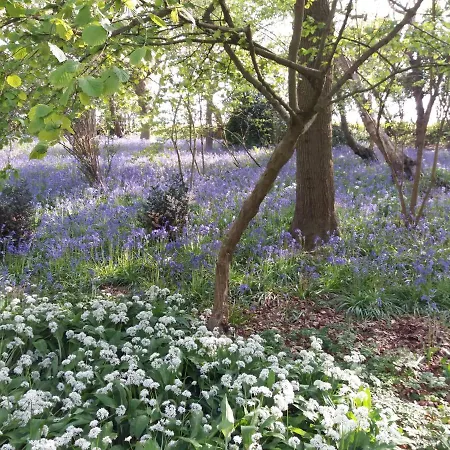 La Parenthese Bois De Cise