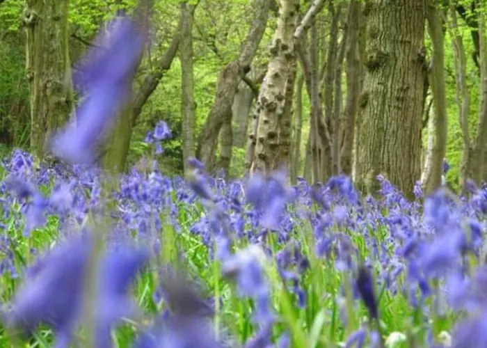 Appartamento La Parenthese Bois De Cise Ault