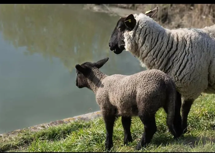Appartamento La Parenthese Bois De Cise