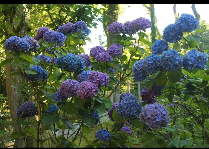 La Parenthese Bois De Cise