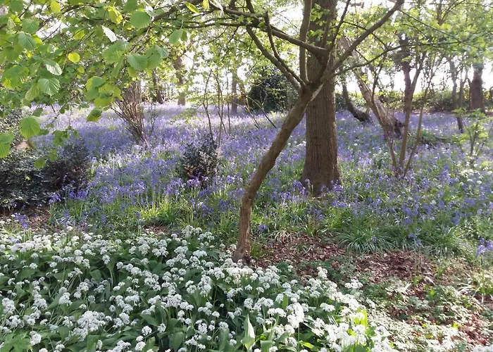 La Parenthese Bois De Cise